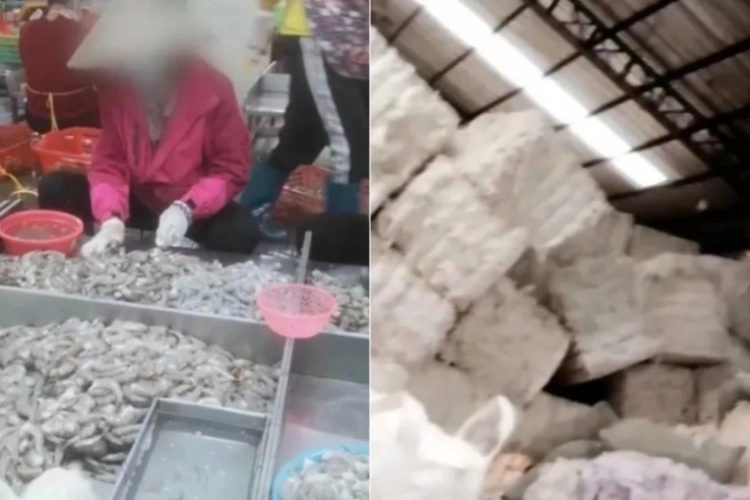 查封！关停！各地多部门连夜查处3·15曝光问题