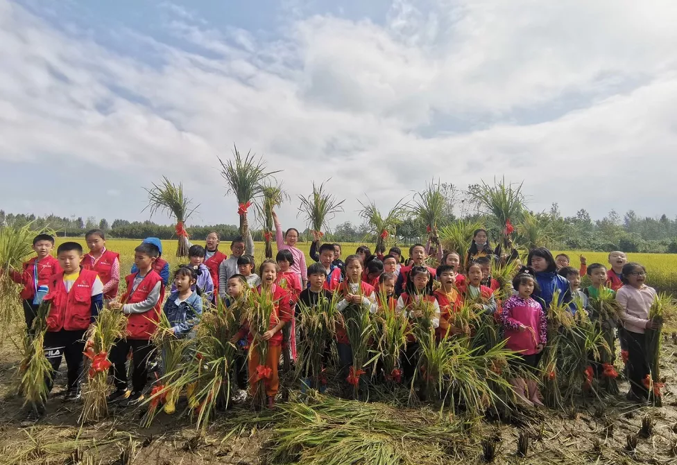 q1nPjdLFA9pyxMrO.png 1 (19).png