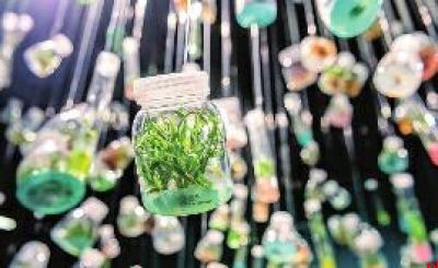 走进人类最后的粮仓：种子库