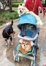 春色正中分 人间恰良辰