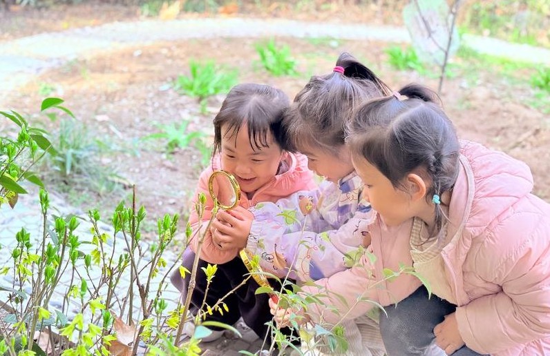 华商头条|到新城区校园来赏春 奏响希望与生机的交响曲