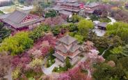 陕西发布清明节文明祭祀倡议书