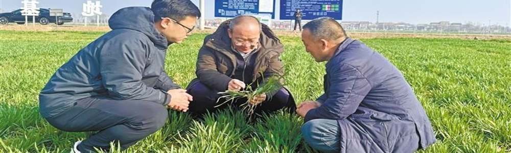 多彩春耕图里的科技密码