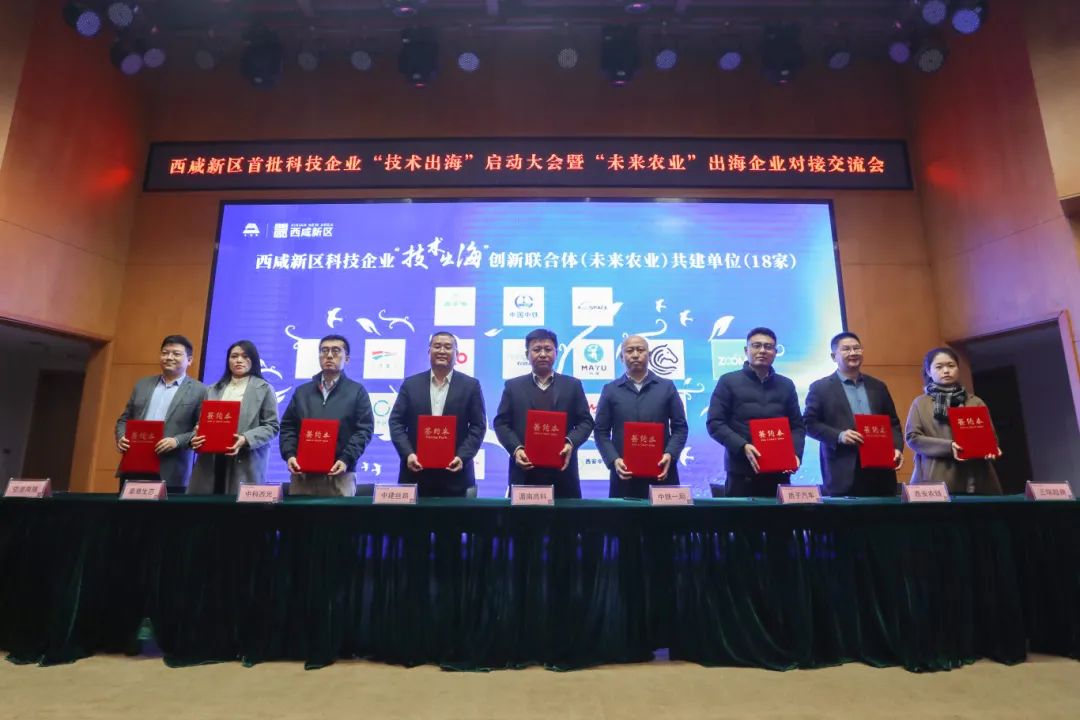 签约1.jpg