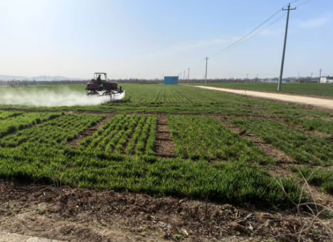 Rj60LFGGwLWVXhaw.png image.png