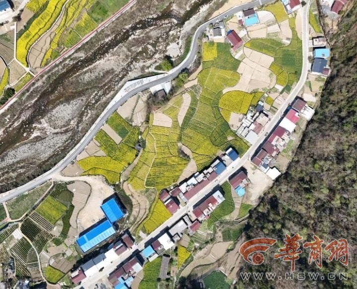遗址无人机航拍图.jpg