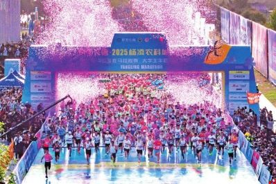 观众热情 服务周到 2025杨马顺利举行