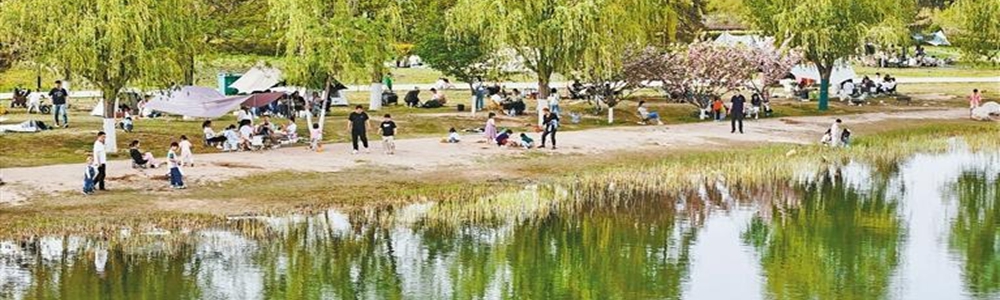 在“家门口”拥抱“诗与远方”