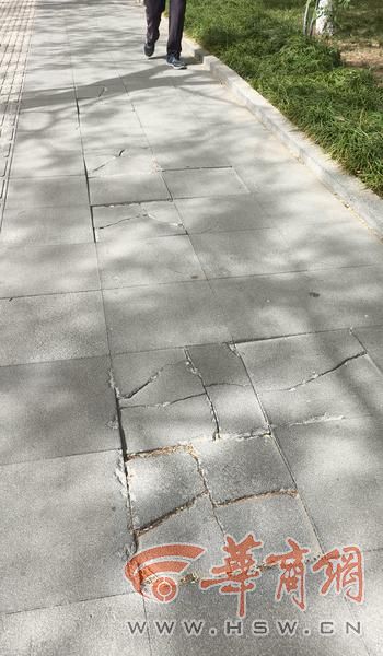 QQ图片20250421122552 QQ图片20250421122552