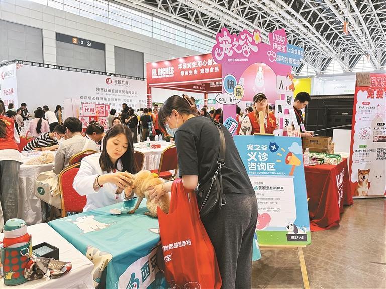 　“它经济”催生保险新赛道