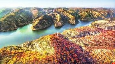 绘就榆阳高质量发展新画卷