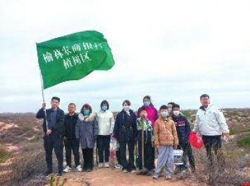 植此青绿 不负春光
