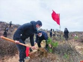 植此青绿 不负春光