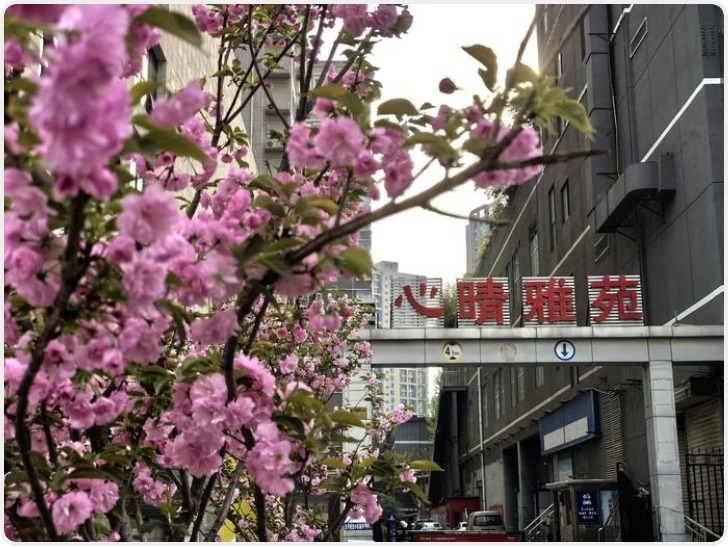 “酬金制” 如何将普通小区变成了幸福家园？
