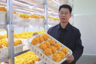 陕西工人有力量