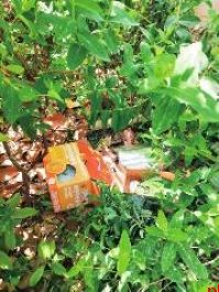 老人小区翻垃圾拾荒 卫生 安全等问题该怎么办?