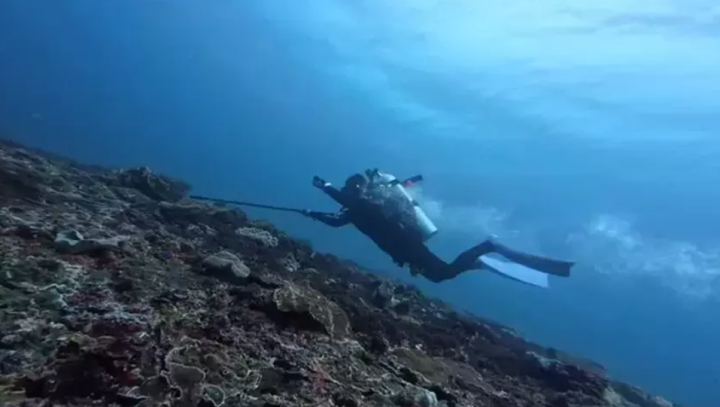 中国女游客在印尼潜水寻找GoPro时溺亡 曾与水下暗流搏斗