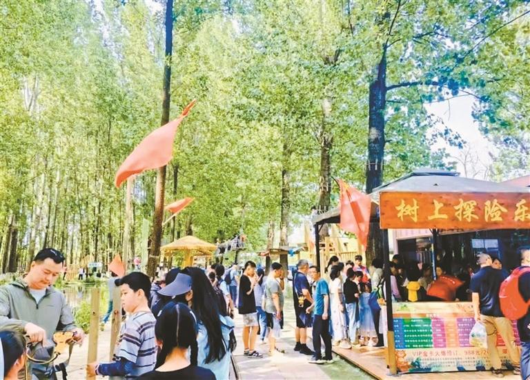 林下经济花间经济实现“富”“美”结合