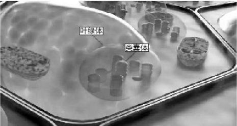 8m20sAXe8kWUNb5F.jpg m_a07c2e7f2bf1e9d3de43817d8a087879.jpg