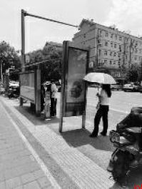 行道树虫害 绿化缺失 这些问题备受关注