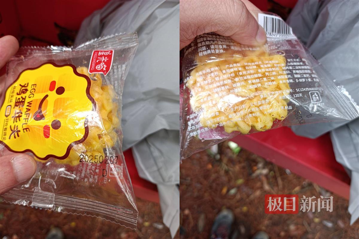 8岁男孩失踪地附近有存储柜 柜内存有华夫饼和保温毯等物资