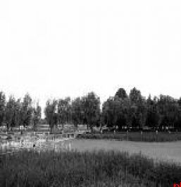 泥沙淤积 荷景难寻 潏河湿地公园人工湖为何难清淤？