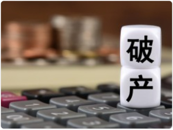 退休夫妻月入1.2万负债1.2亿申请破产 律师：“诚实而不幸”系前置条件