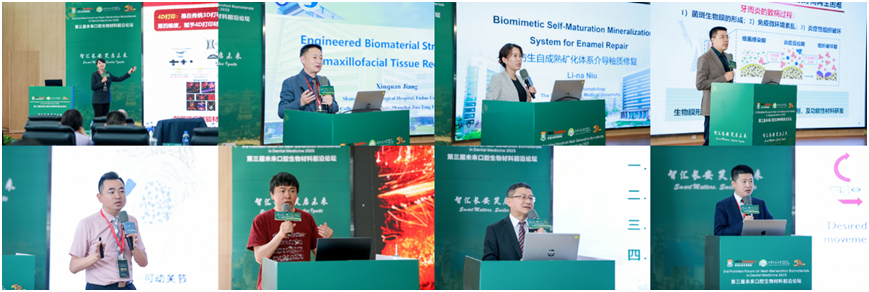 o8DxkSkfI8PGsZat.png image.png