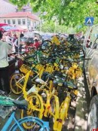 大堆共享单车数月无人清理
