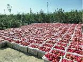 陕西移动渭南分公司数智领航践使命 科技赋能守平安