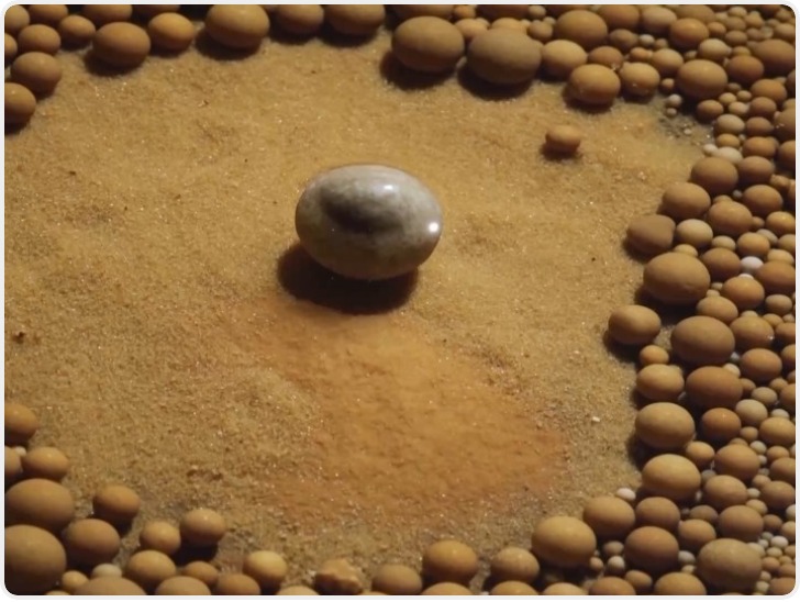 女子赤脚入溶洞“晶花池”引争议 岩溶洞穴该如何保护？