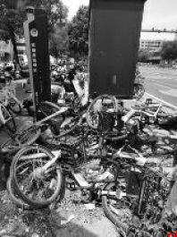 西咸新区天台路沣东南路口不少单车“躺”进绿化带