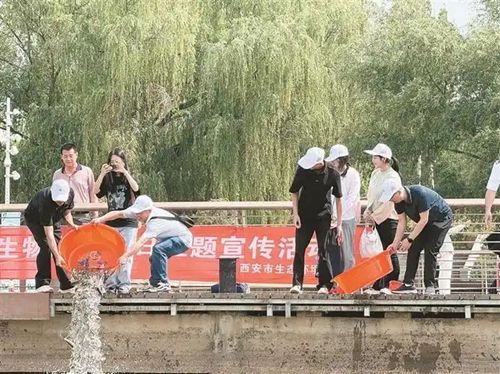 西安市绘制生物多样性保护新画卷