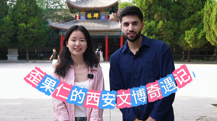 歪果仁西安文博奇遇记vlog：那年我们追过的顶流书法长这样