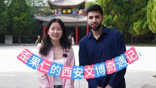 歪果仁西安文博奇遇记vlog：那年我们追过的顶流书法长这样