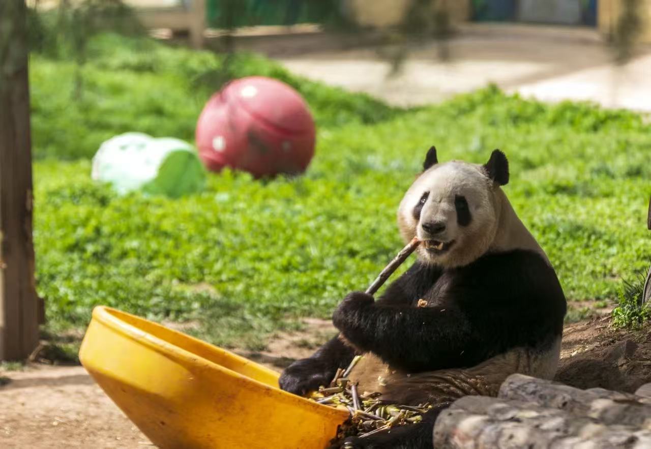 微信图片_20250528092839.jpg