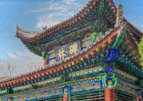 华商头条|端午节当日西安碑林博物馆门票半价 42元/人次