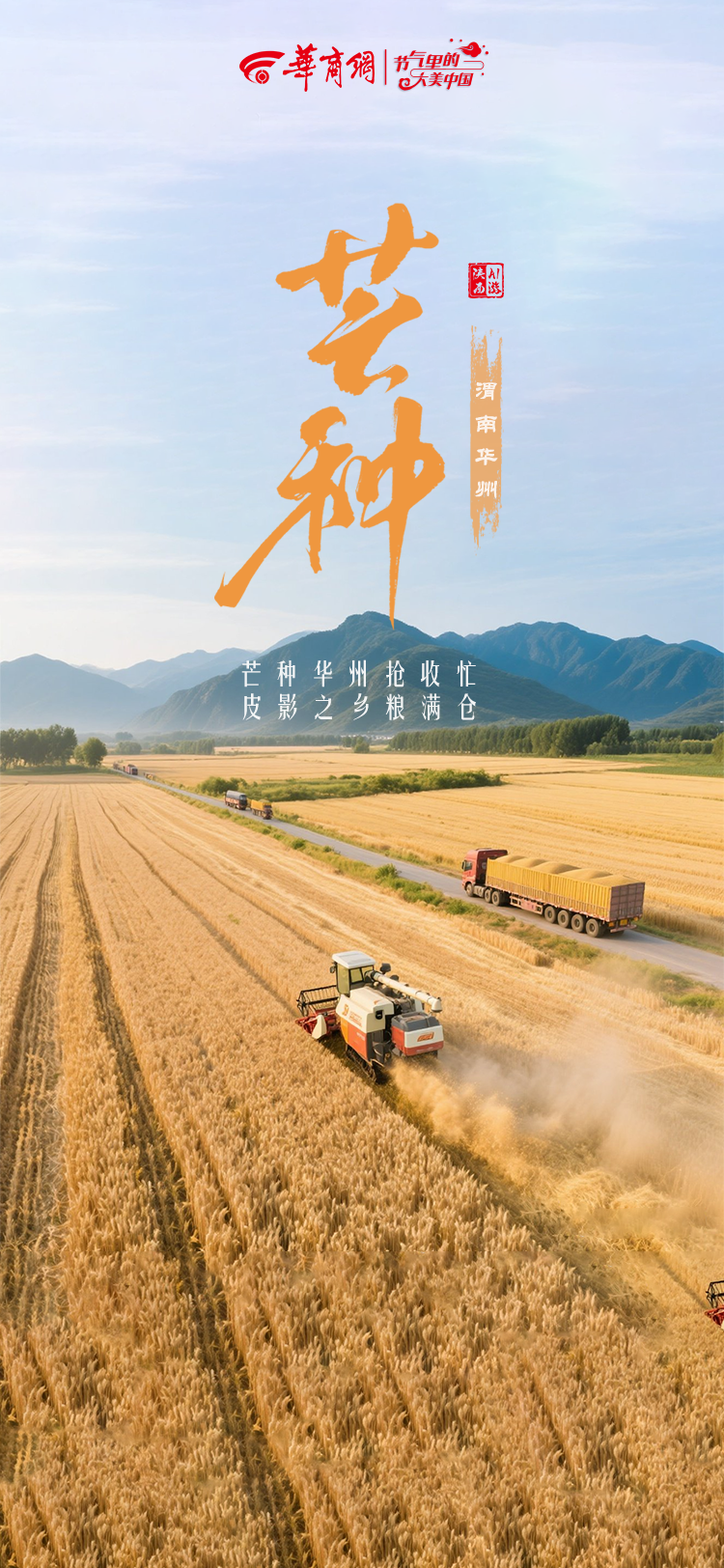二十四节气|AI游陕西 芒种推荐：渭南华州