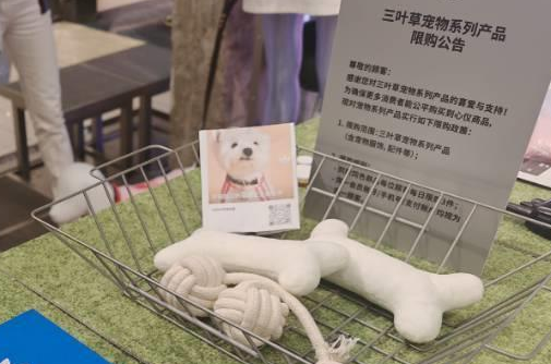 阿迪达斯跨界宠物服饰：官网部分宠物T恤售罄 门店限购
