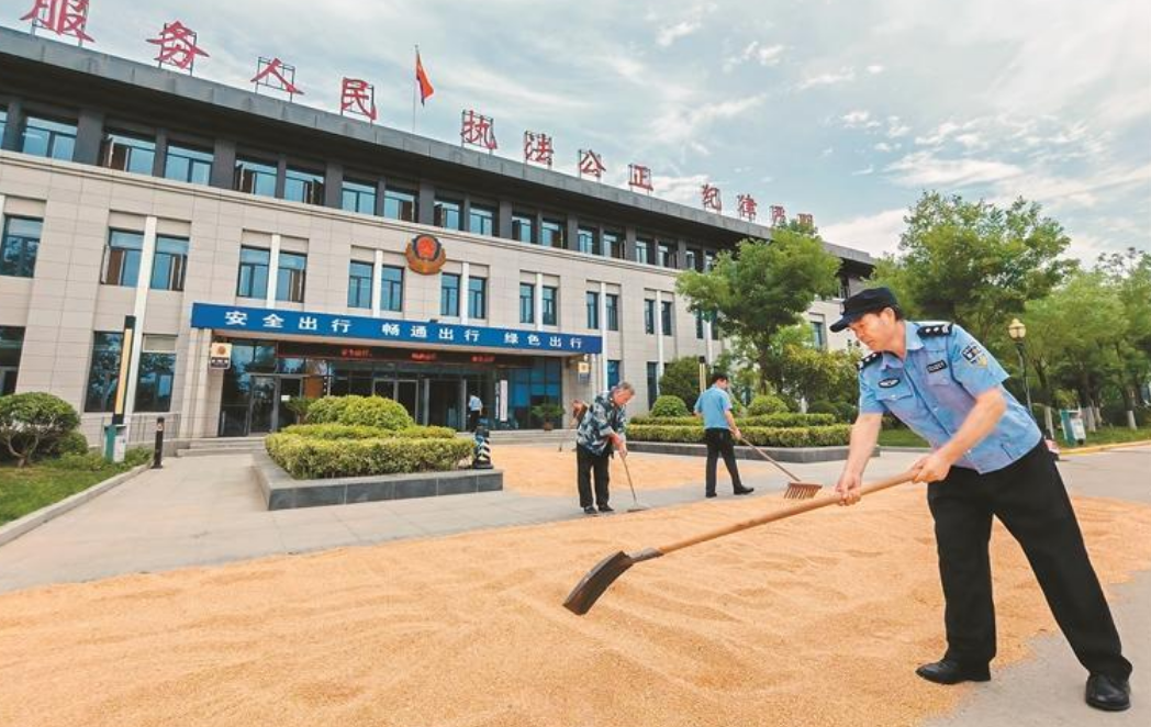 西安一警营变身“晒粮场” 暖心助农又保畅
