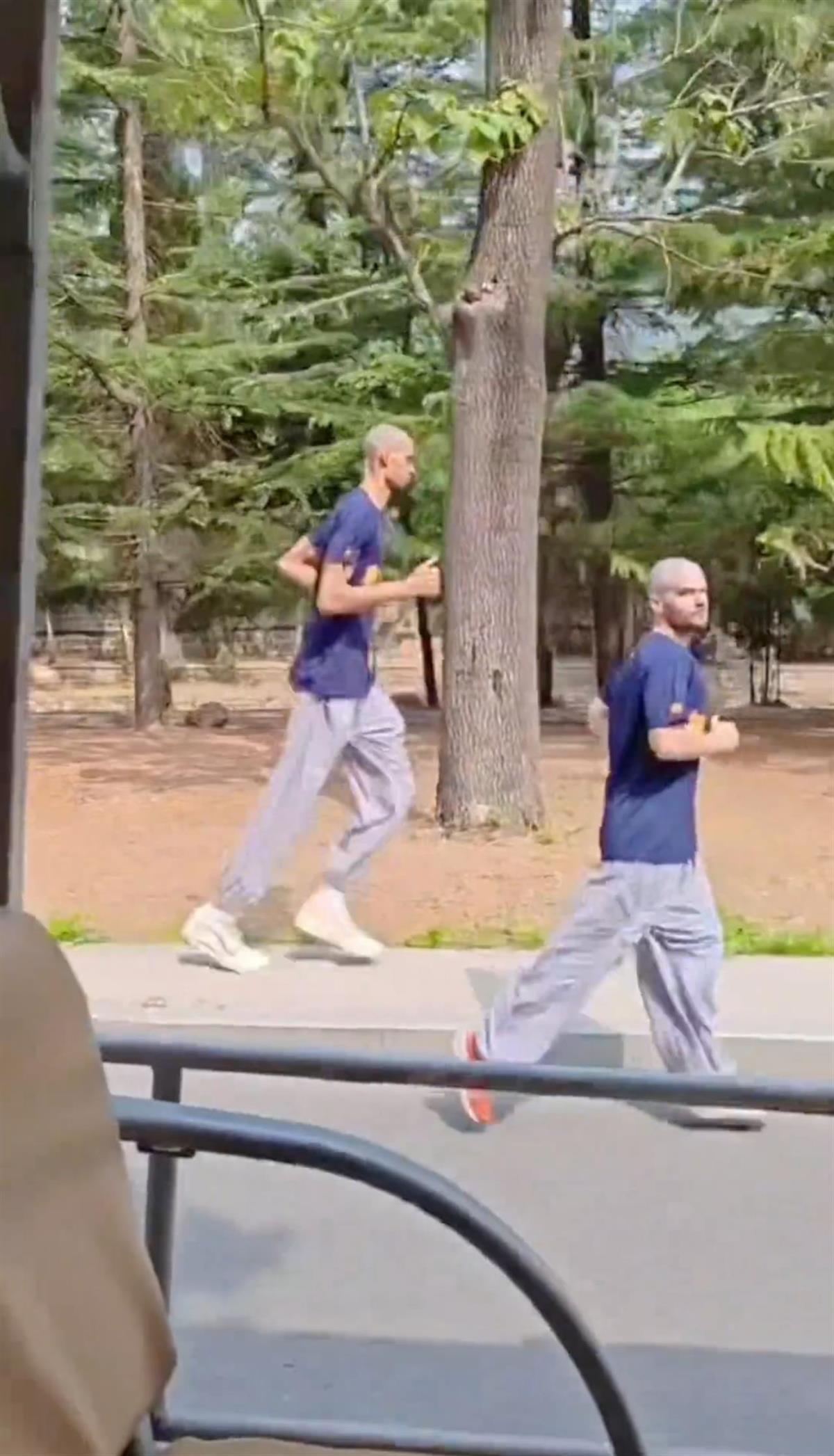 网友拍到光头文班亚马在少林寺晨跑 称离NBA巨星最近的一次