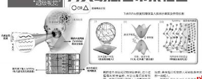 新研发的视觉假体为失明患者带来福音