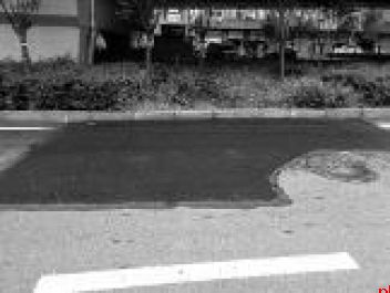 市民将道路养护单位告上法庭 责任究竟如何划分？