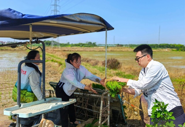 科技助农促丰收