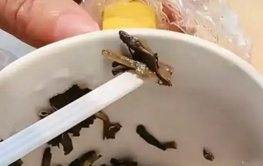 “奈雪的茶”茶包喝出整只青蛙？当事人：监管部门已介入