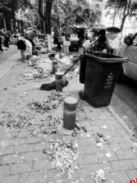 西安雁塔区这些路段盼整治