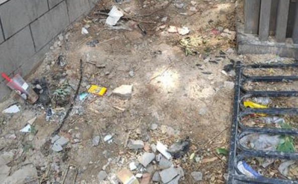 小8跑街丨西安南二环金水路口绿化带垃圾长期未清