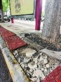 公交站地砖破损 十多天无人修