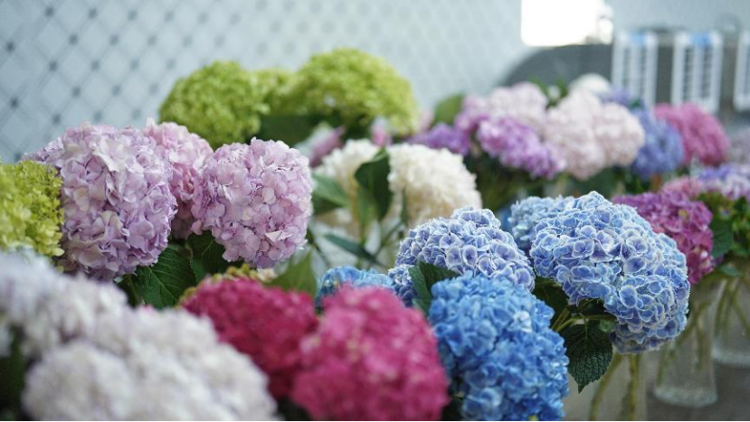 06RF60E4ETAPX6m2.png image.png