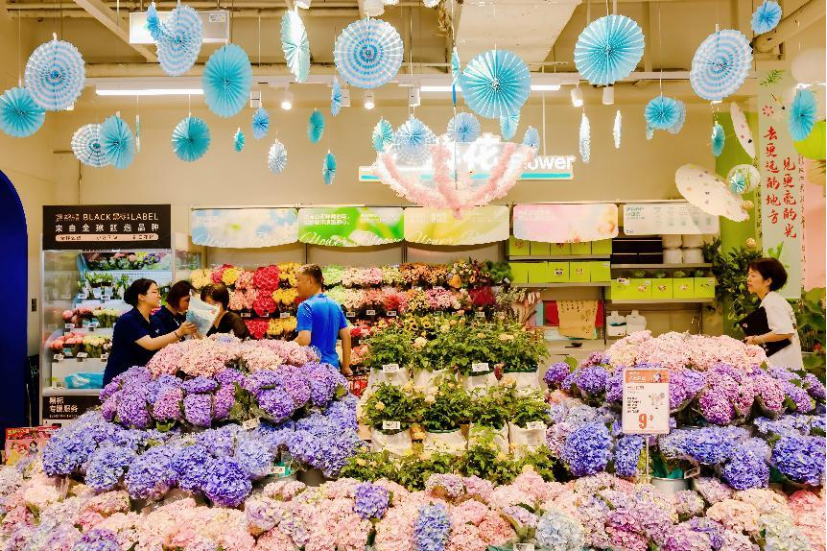 Go3XYB9JE1GghEu7.png image.png